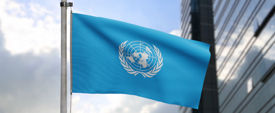 Você trabalharia de graça para a ONU? Muitos tradutores já fizeram isso!