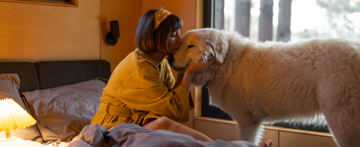 Tutora com seu cão em quarto de hotel.