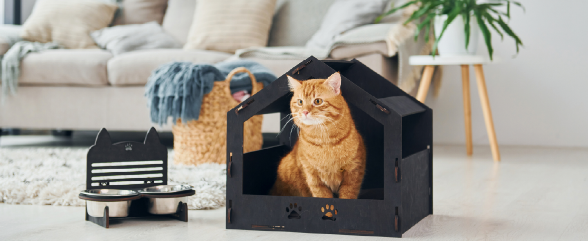 Gato dentro de uma casinha para pet